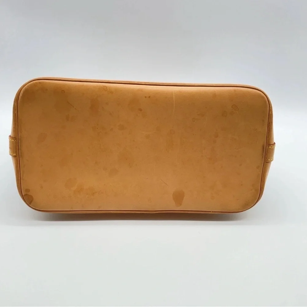 Louis Vuitton brand louis